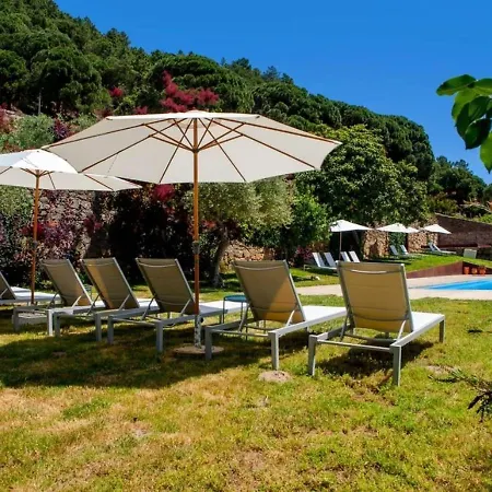 Appealing Holiday In Carrazeda De Ansia With Terrace 펜션 트랄하리즈